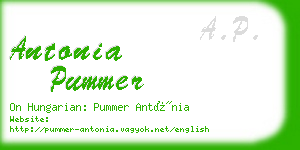 antonia pummer business card